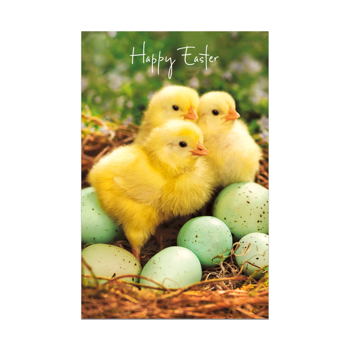 Multipack Cards Greeting Cards Easter General Trade Range