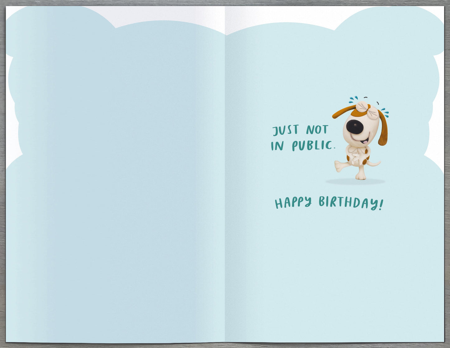 5016061917060 Birthday Brother Hum