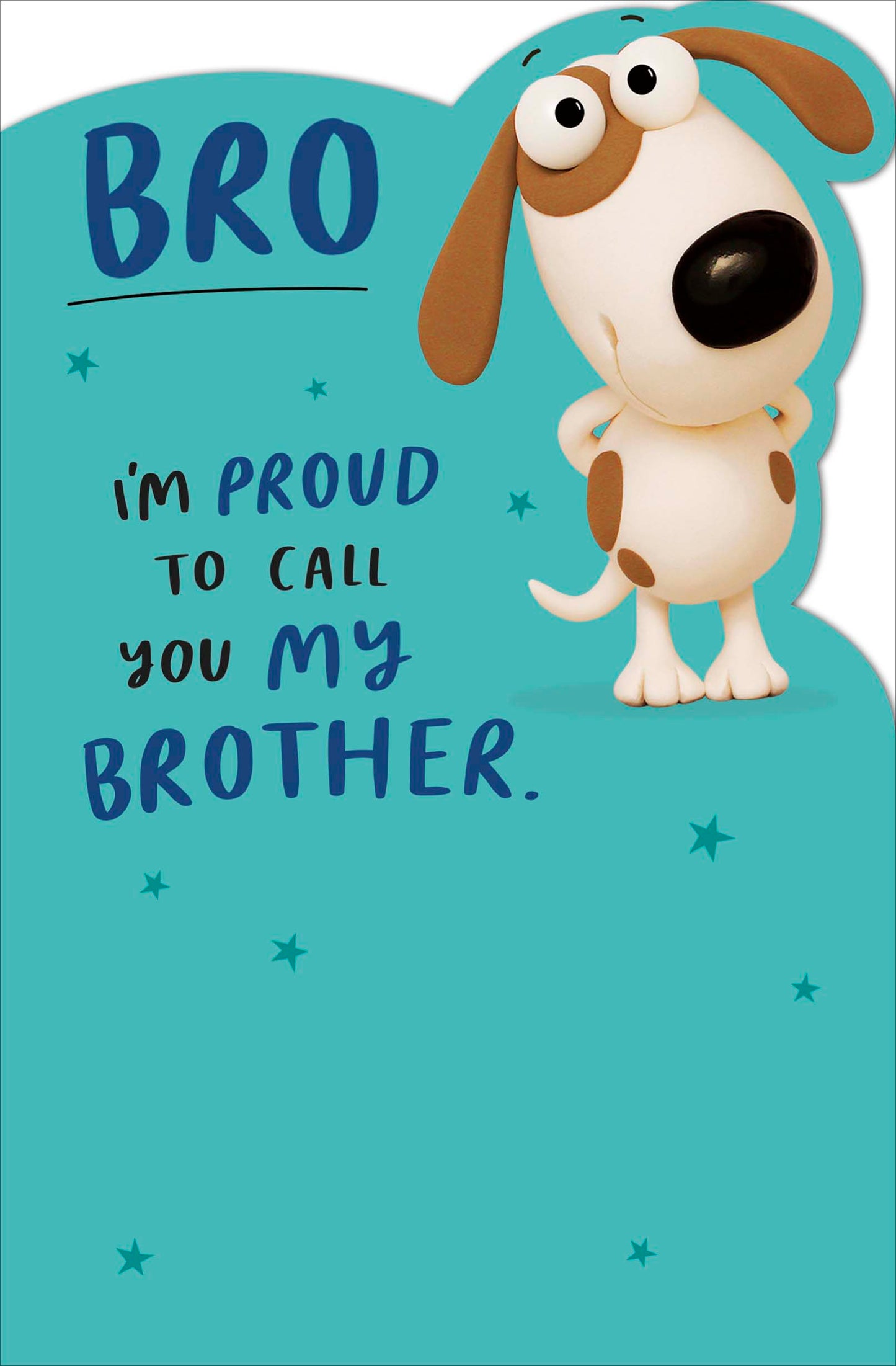 5016061917060 Birthday Brother Hum