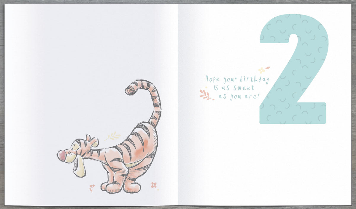 Standard Greeting Cards Birthday 2 Year Boy Cute Disney Winnie the Pooh