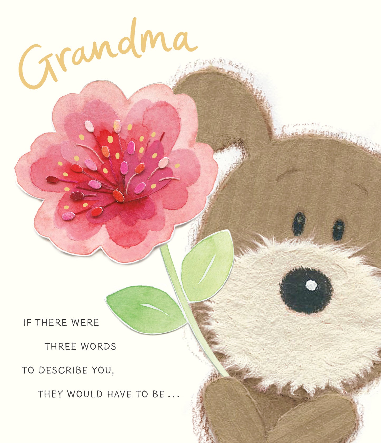 Standard Greeting Cards Birthday Grandma Cute Lots of Woof
