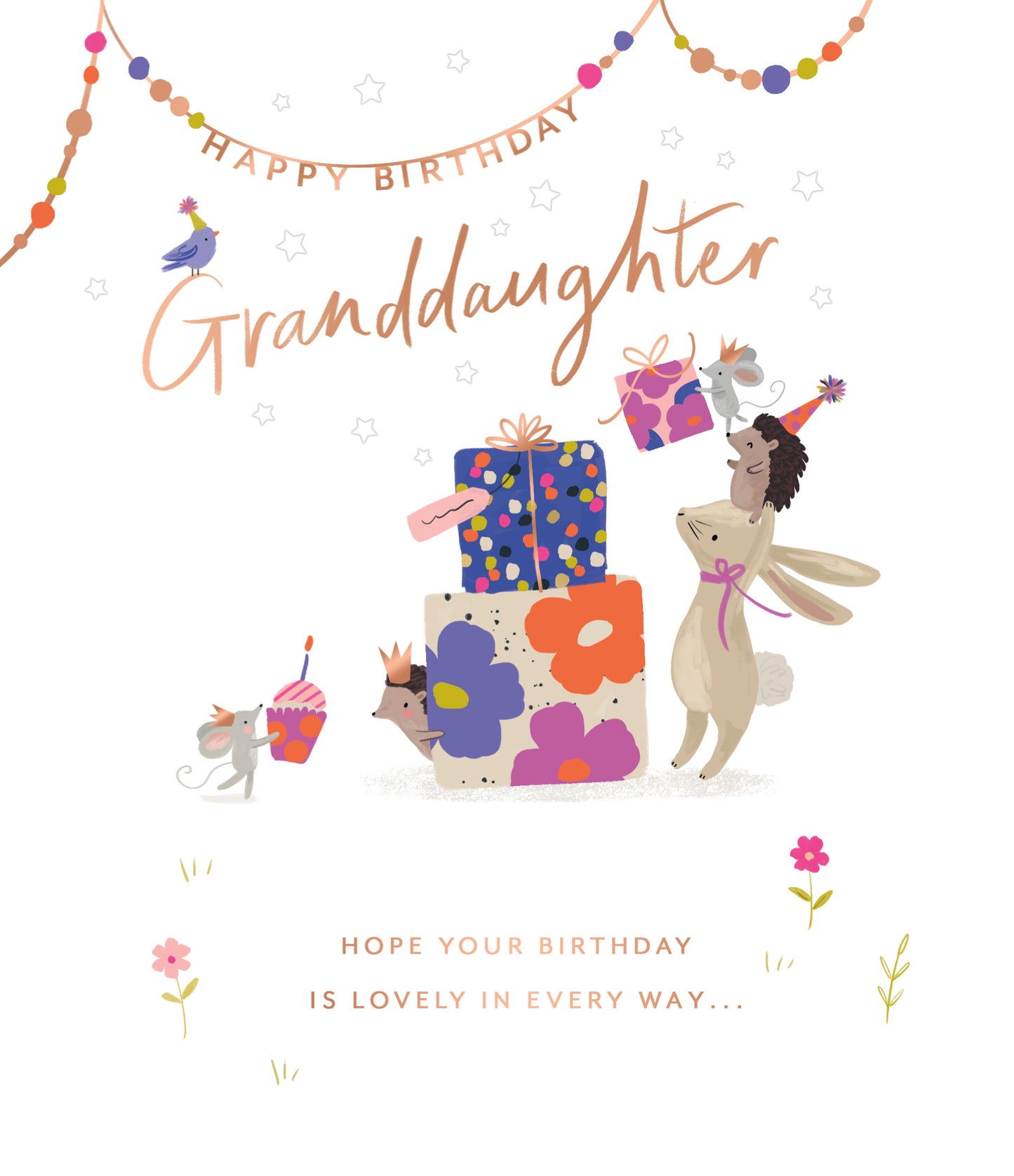 Standard Greeting Cards Birthday Granddaughter Cute Carlton Core Line