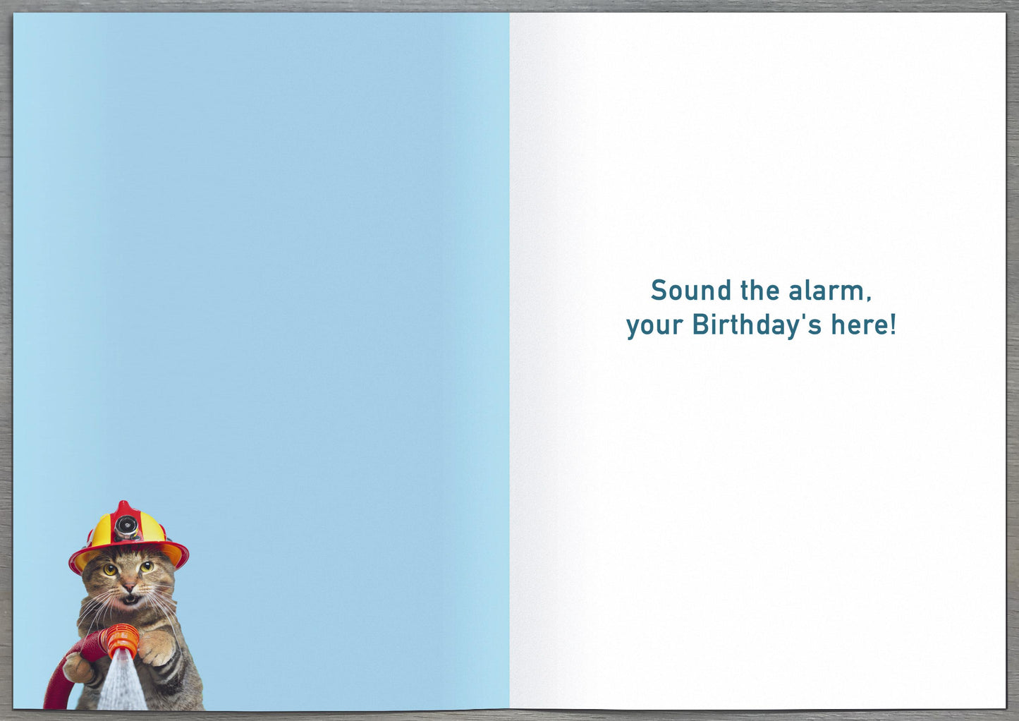 Standard Greeting Cards Birthday Hum Recycled Paper Group