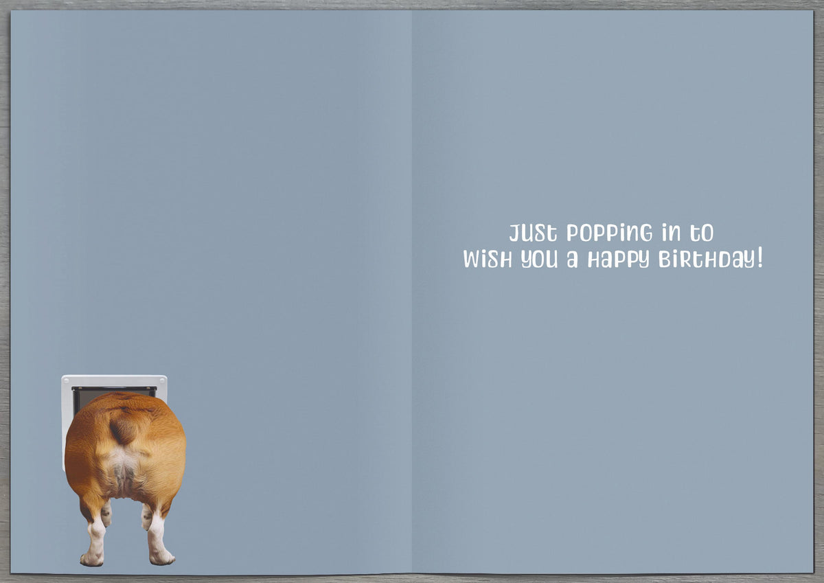 Birthday Humour