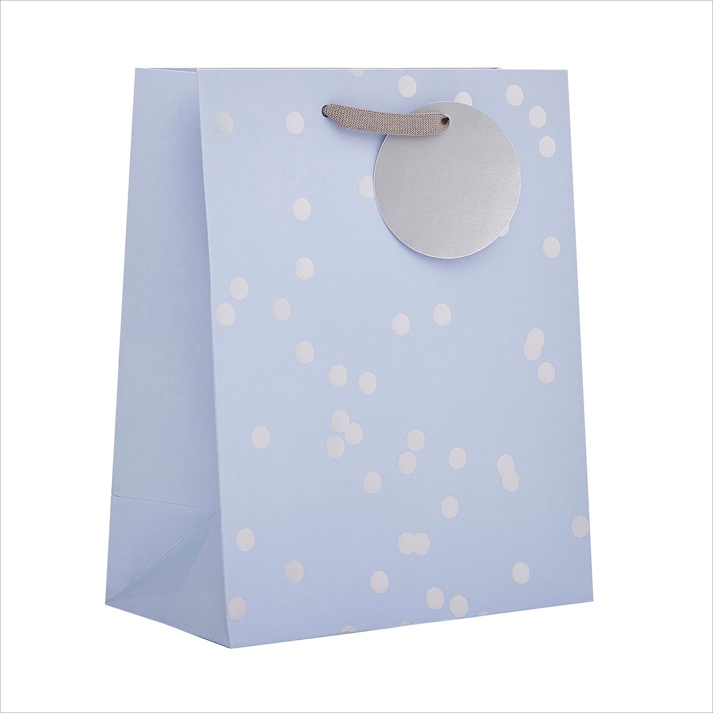 Gift Bag Medium Greeting Cards Open Silver Holo