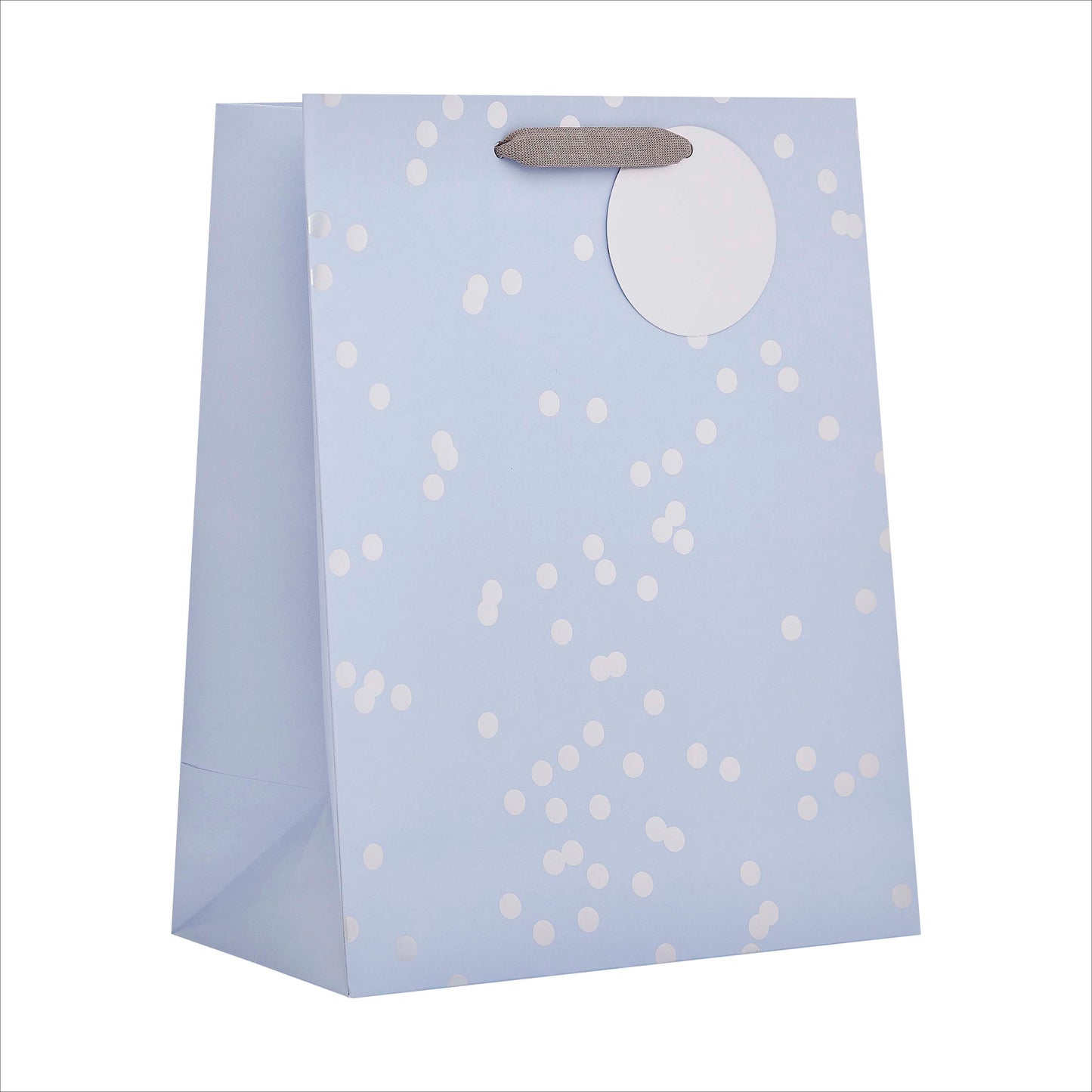 Gift Bag Large Greeting Cards Open Silver Holo