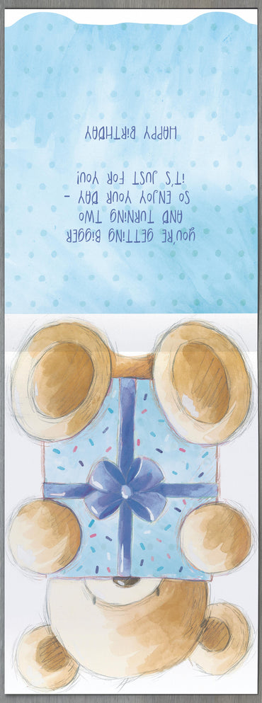 Standard Greeting Cards Birthday 2 Year Boy Juvenile Gibson Core Line