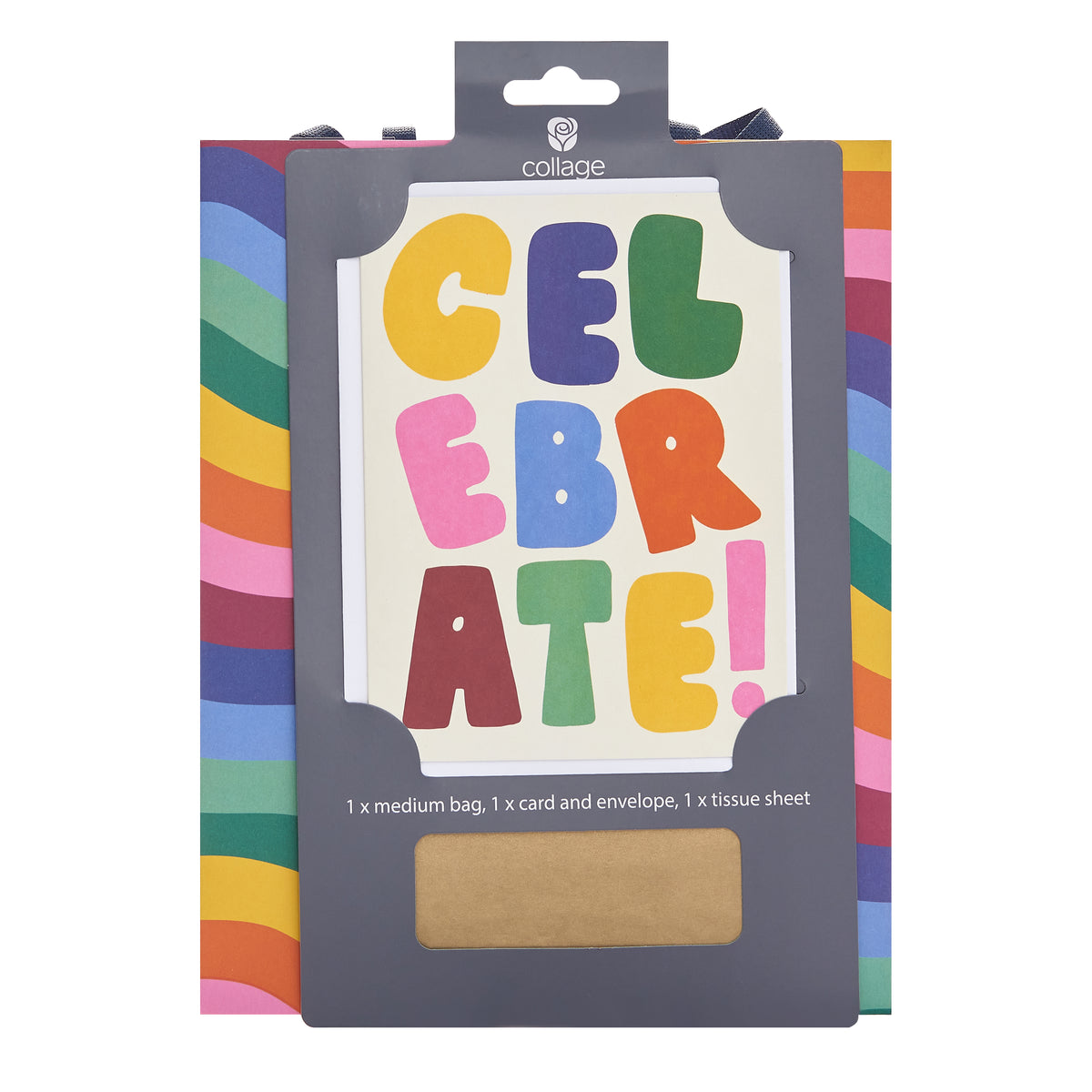 Gift Bag/Tissue/Card PK Medium Greeting Cards Open Blank Brights