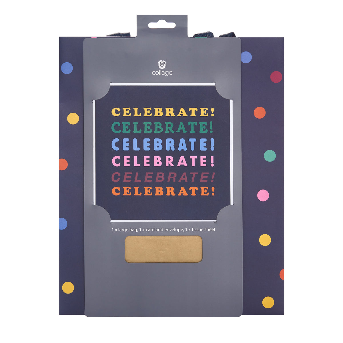 Gift Bag/Tissue/Card PK Large Greeting Cards Open Blank Brights