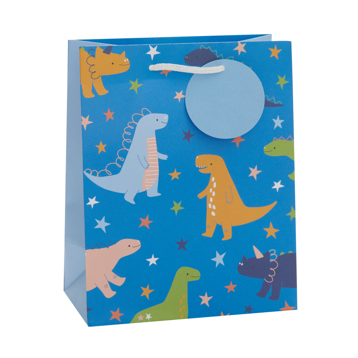 Gift Bag Medium Greeting Cards Juvenileenile Male Essentials Dinosaur