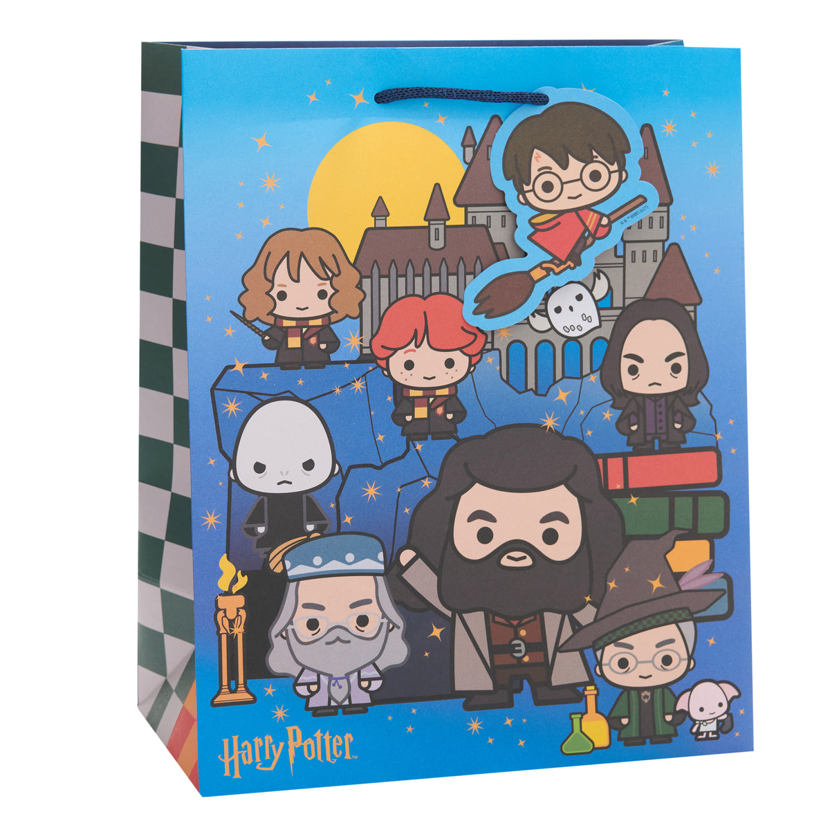 Gift Bag Large Greeting Cards Open WB Harry Potter