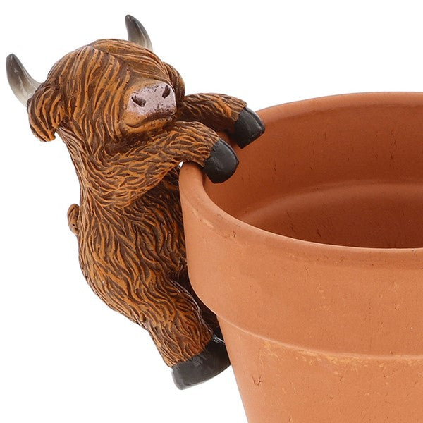 Happy Highland Coo Pot Hangers
