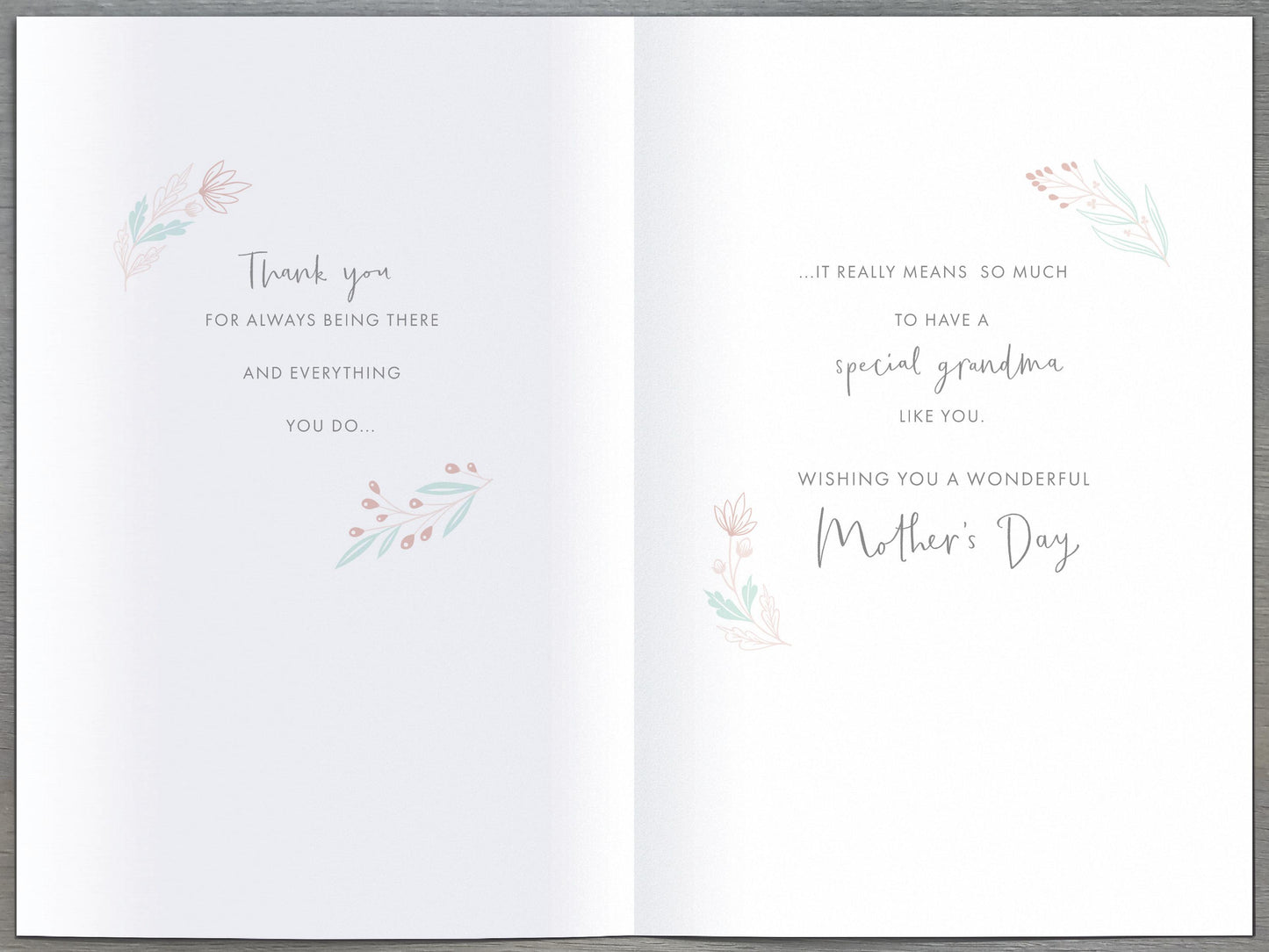 Standard Greeting Cards Grandma Gibson Core Line