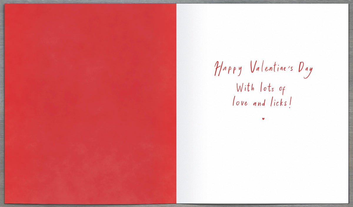 Standard Greeting Cards From Dog Carlton Core Line