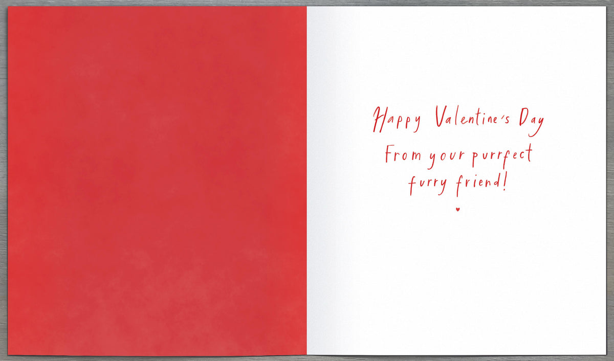 Standard Greeting Cards From Cat Carlton Core Line