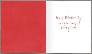 Standard Greeting Cards From Cat Carlton Core Line