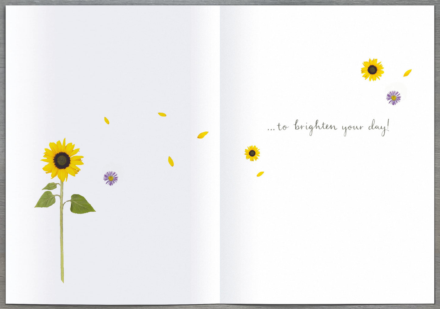 Standard Greeting Cards Open Into the Meadow