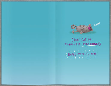 Standard Greeting Cards From Cat Hum Crackers