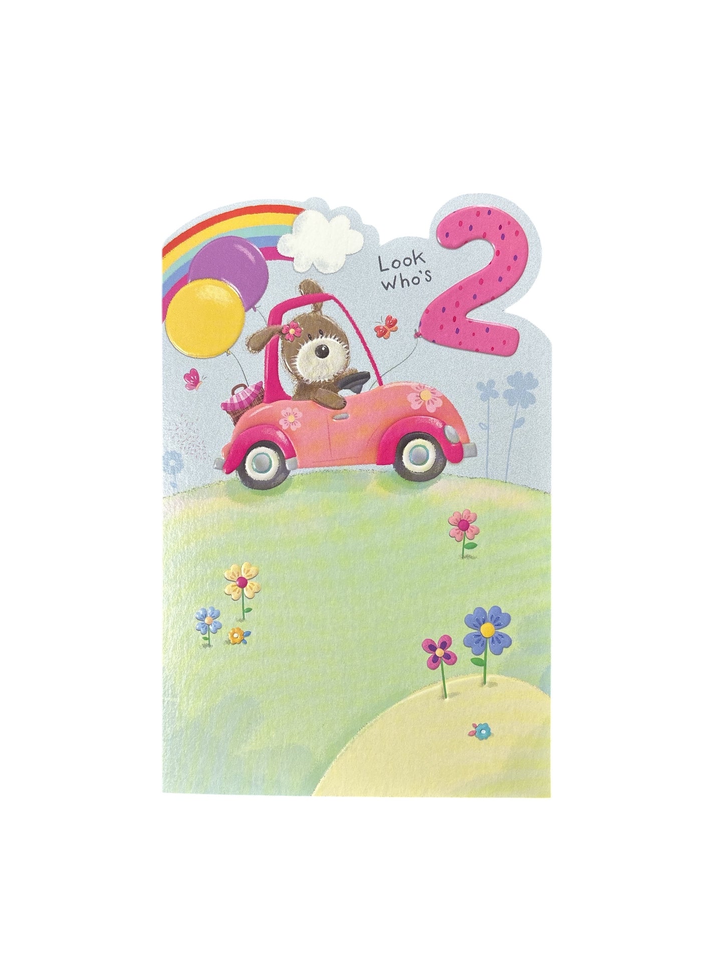 5034934706382-Juvenile Age