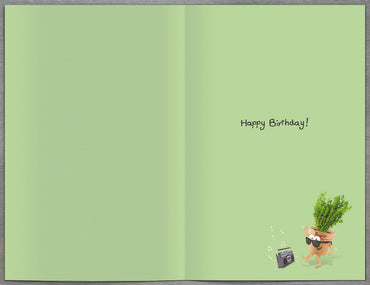 Standard Greeting Cards Birthday Hum Out of the Ark