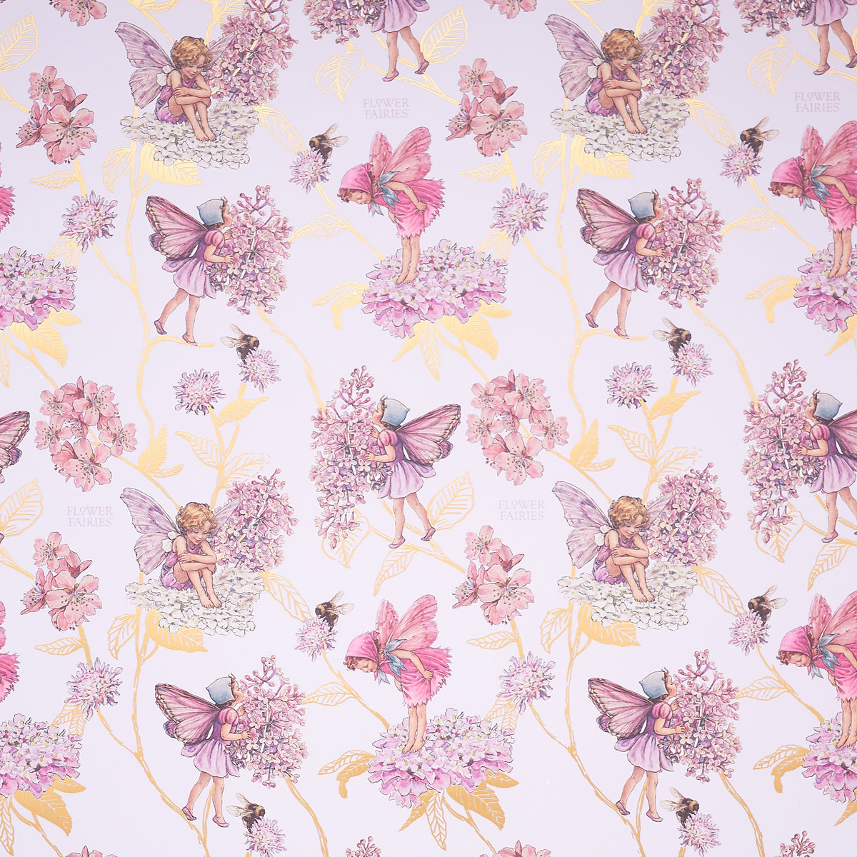 Flat Wrap Luxury (License & Foil) Greeting Cards Open Flower Fairies