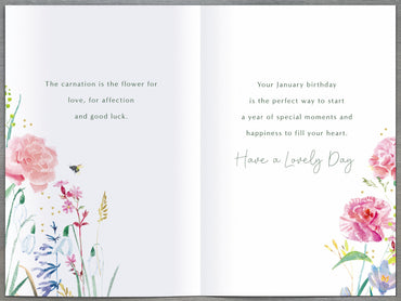 Standard Greeting Cards Birthday January Gibson Core Line
