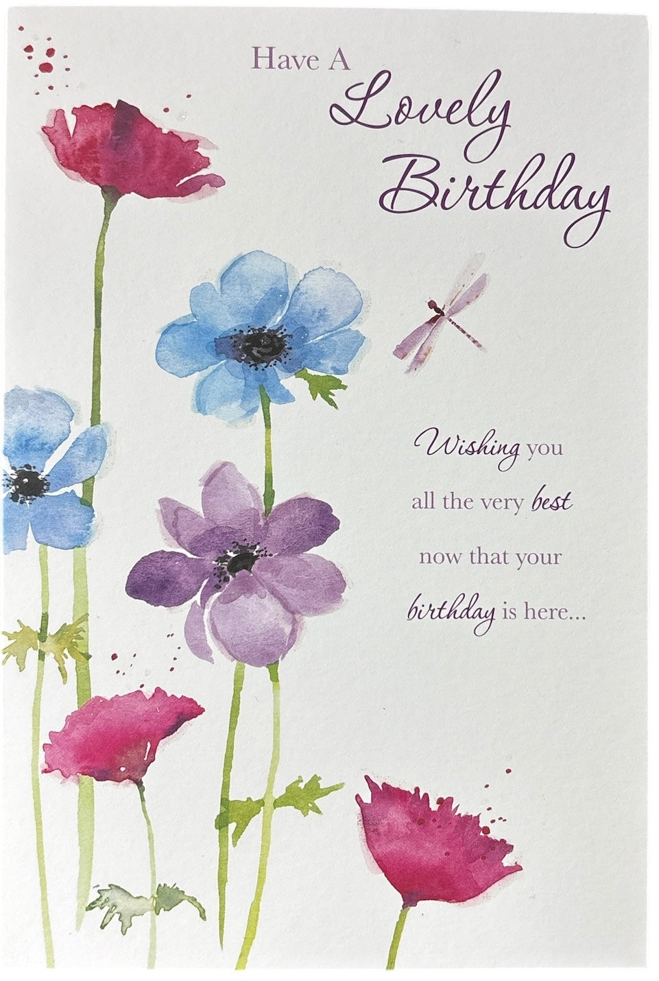 F004 Open Birthday - Female