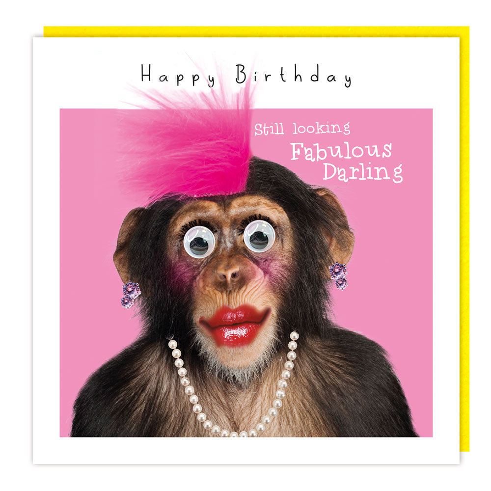 Fluff - LL100 - - BD - Still looking fabulous Darling