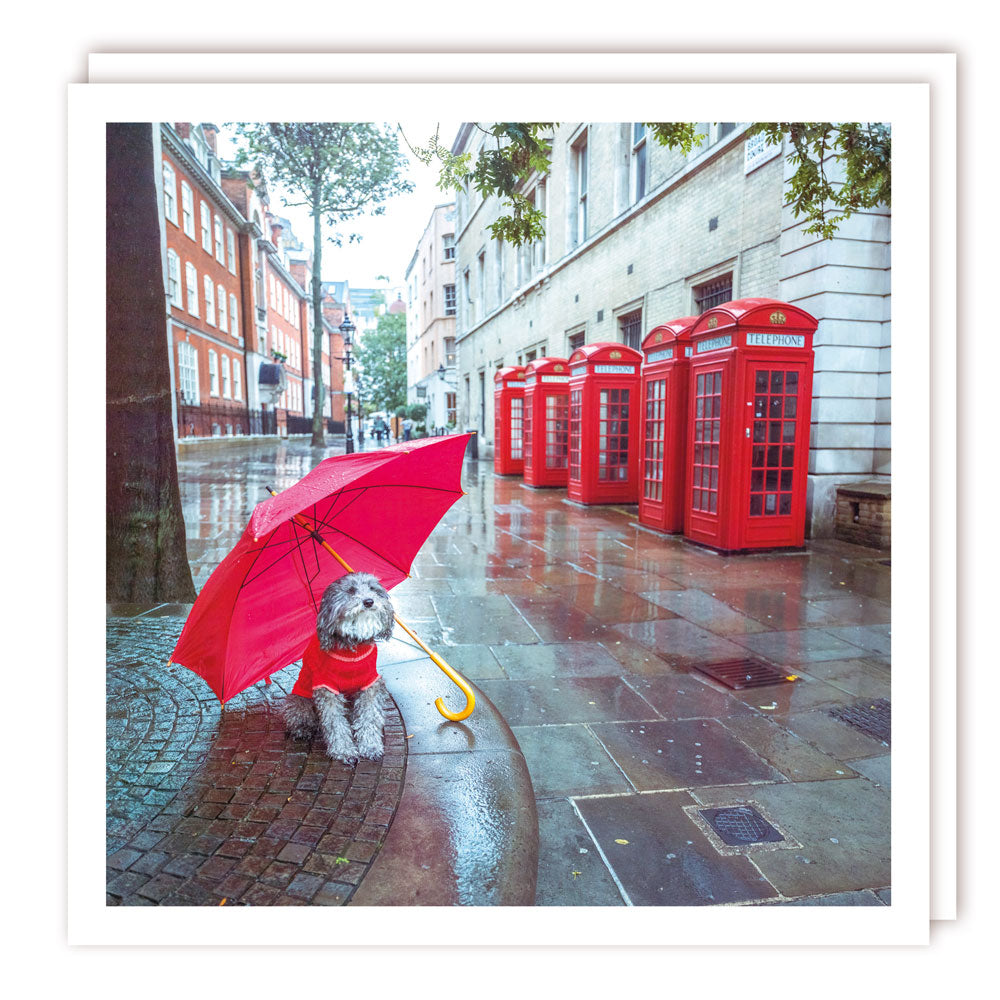 II60 - Blank - Walkies - Dog with umbrella - Gloss