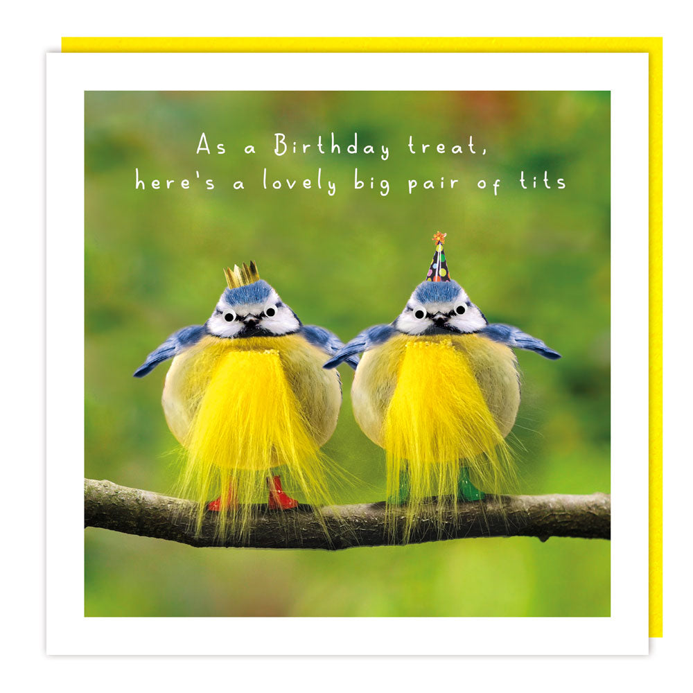 LL100 - *C Fluff/Gogglie - Birthday - Lovely Big Pair