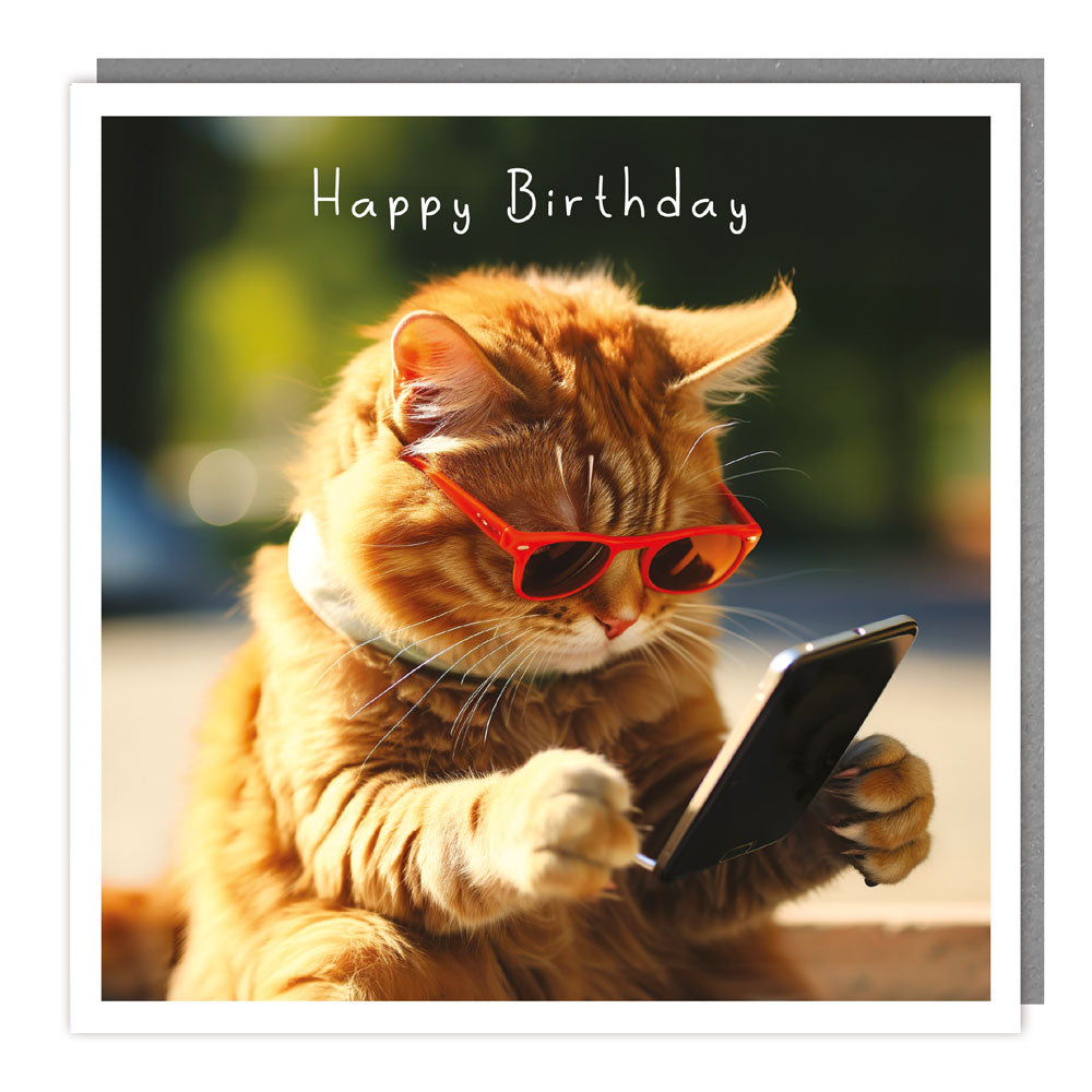 JJ75 - Birthday - Meoow - Phone Kittie - Matt
