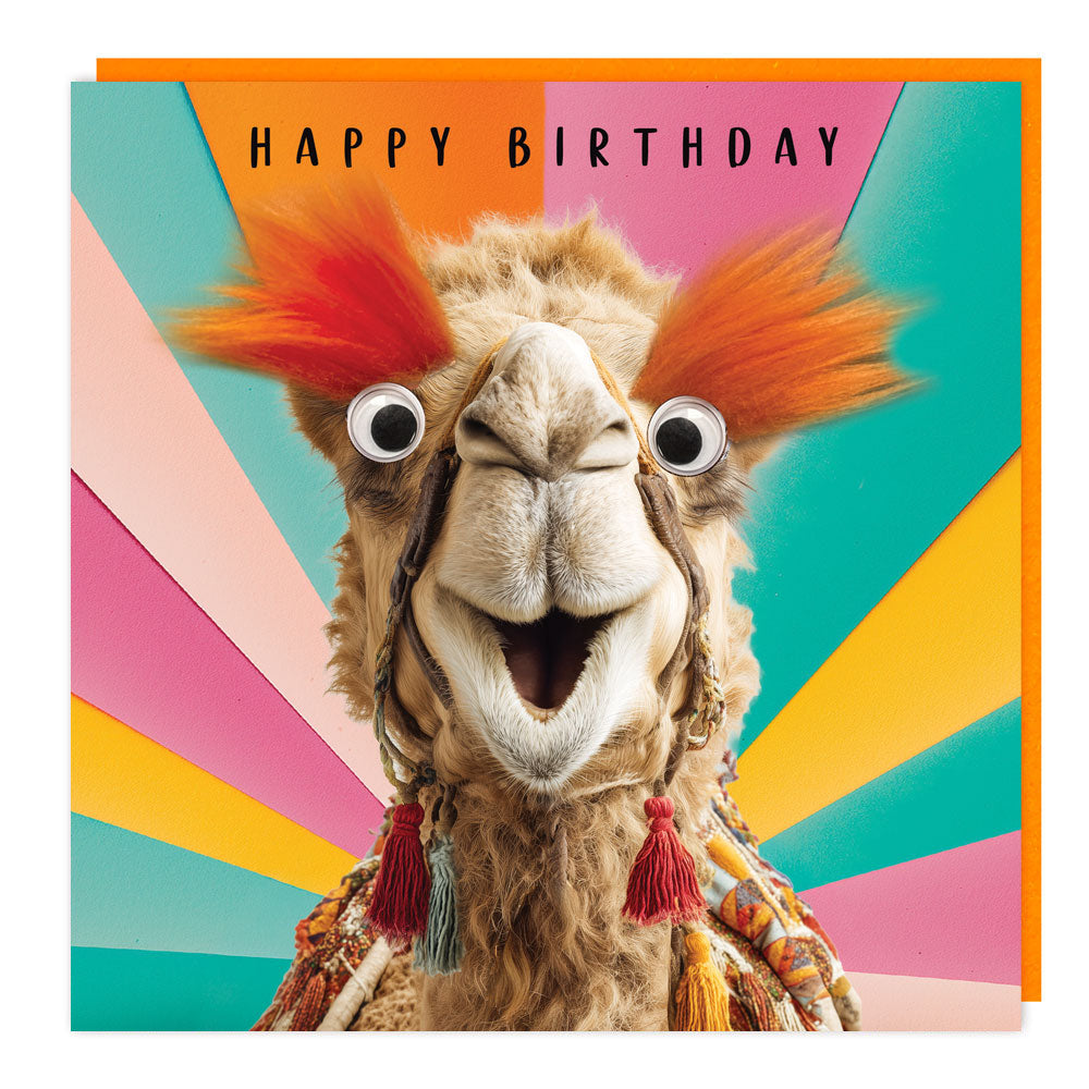 LL100 - Fluff /Gogglie - HB - Amazed Camel