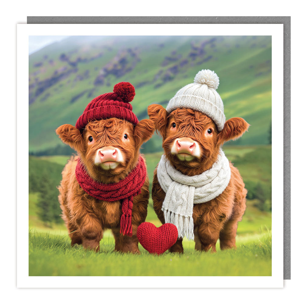 JJ75 - Blank - Light Hearted - Two Drssed Cows
