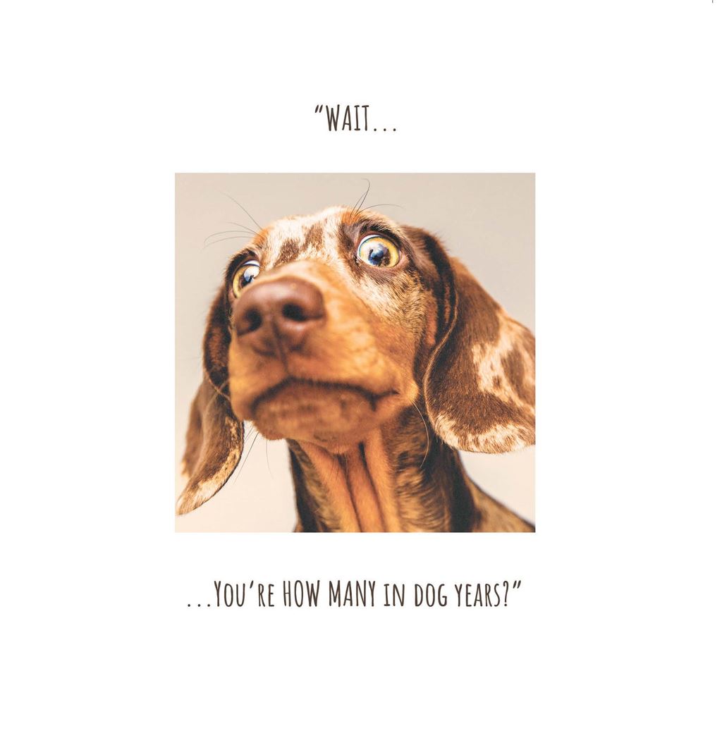 WAIT... You're how many dog years?