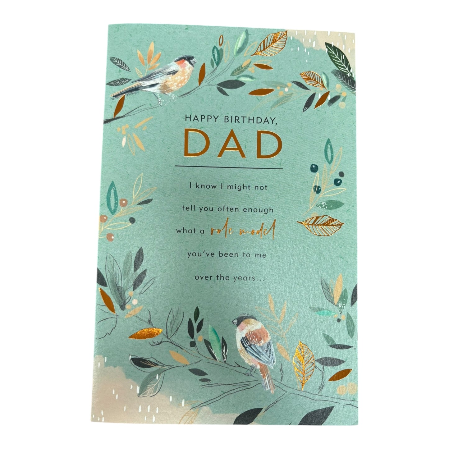 Birthday Dad Conv 773033-0-1
