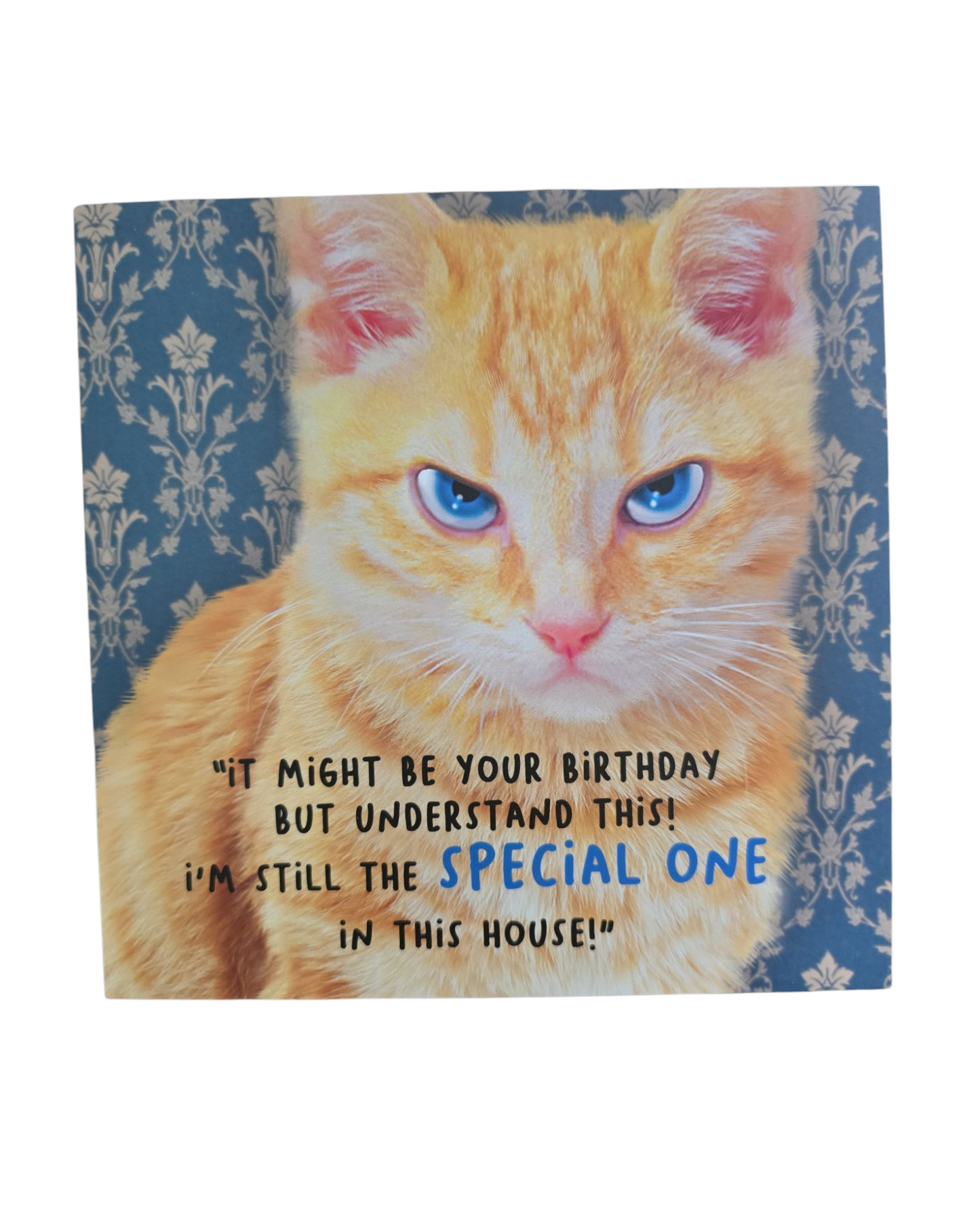 It might be your birthday but understand this! I'm still the special one in this house