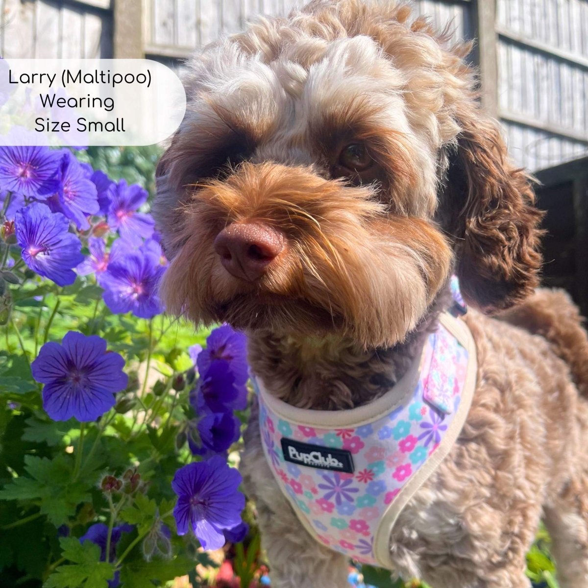 Adjustable Harness - Pretty Petals