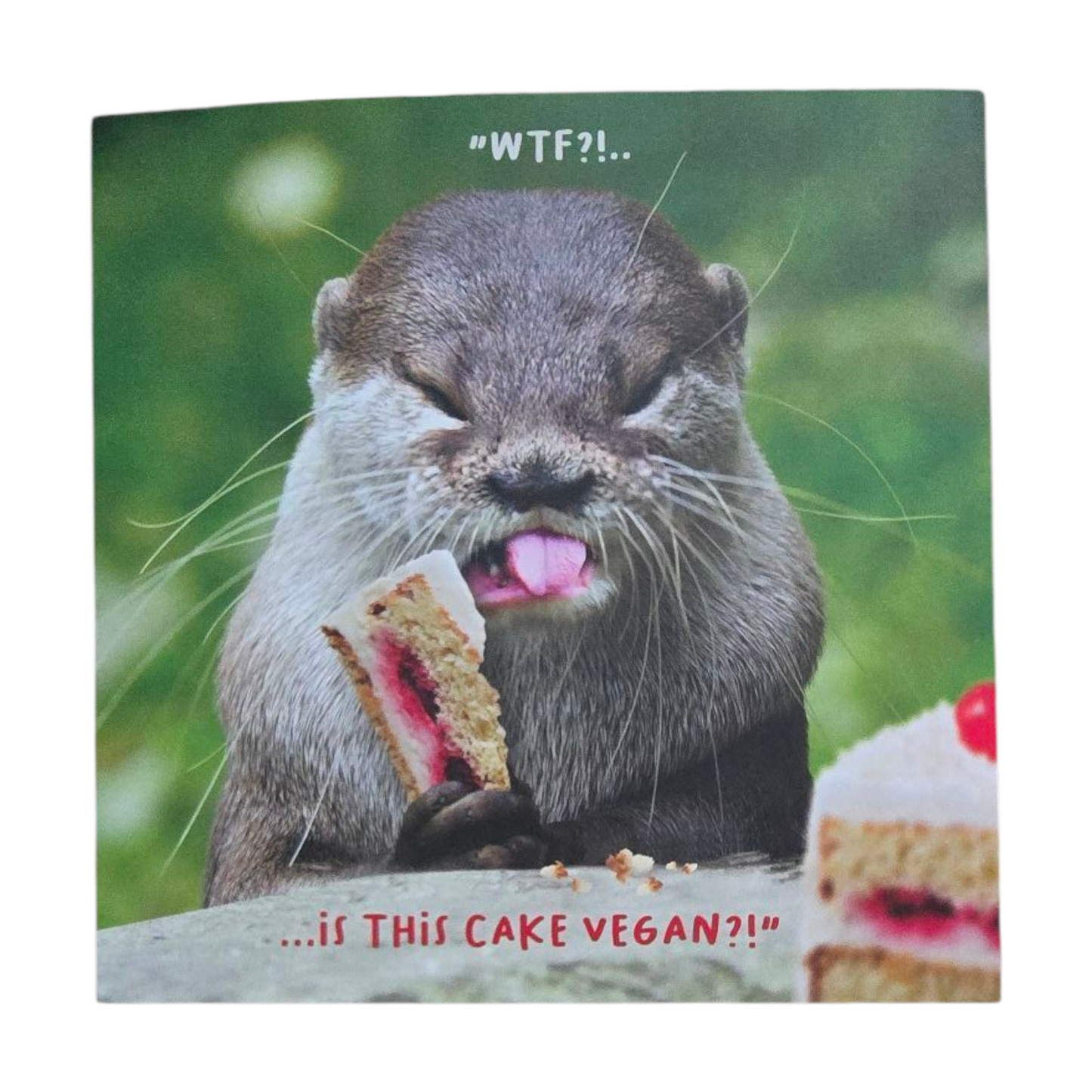 WTF! Is this cake vegan?!