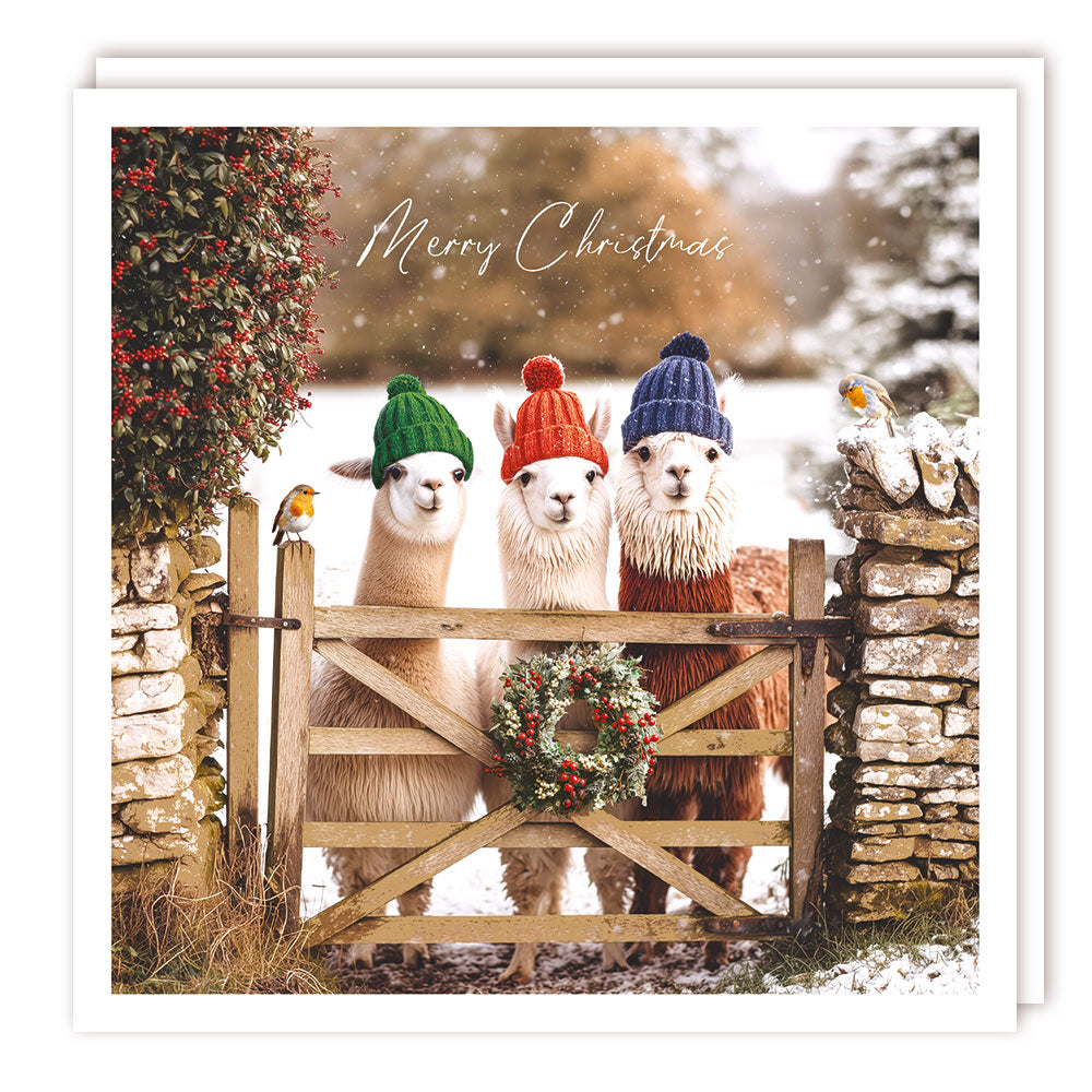 Xmas Sparkle Pack 125x125 - Llama Hats - Foil - BHF