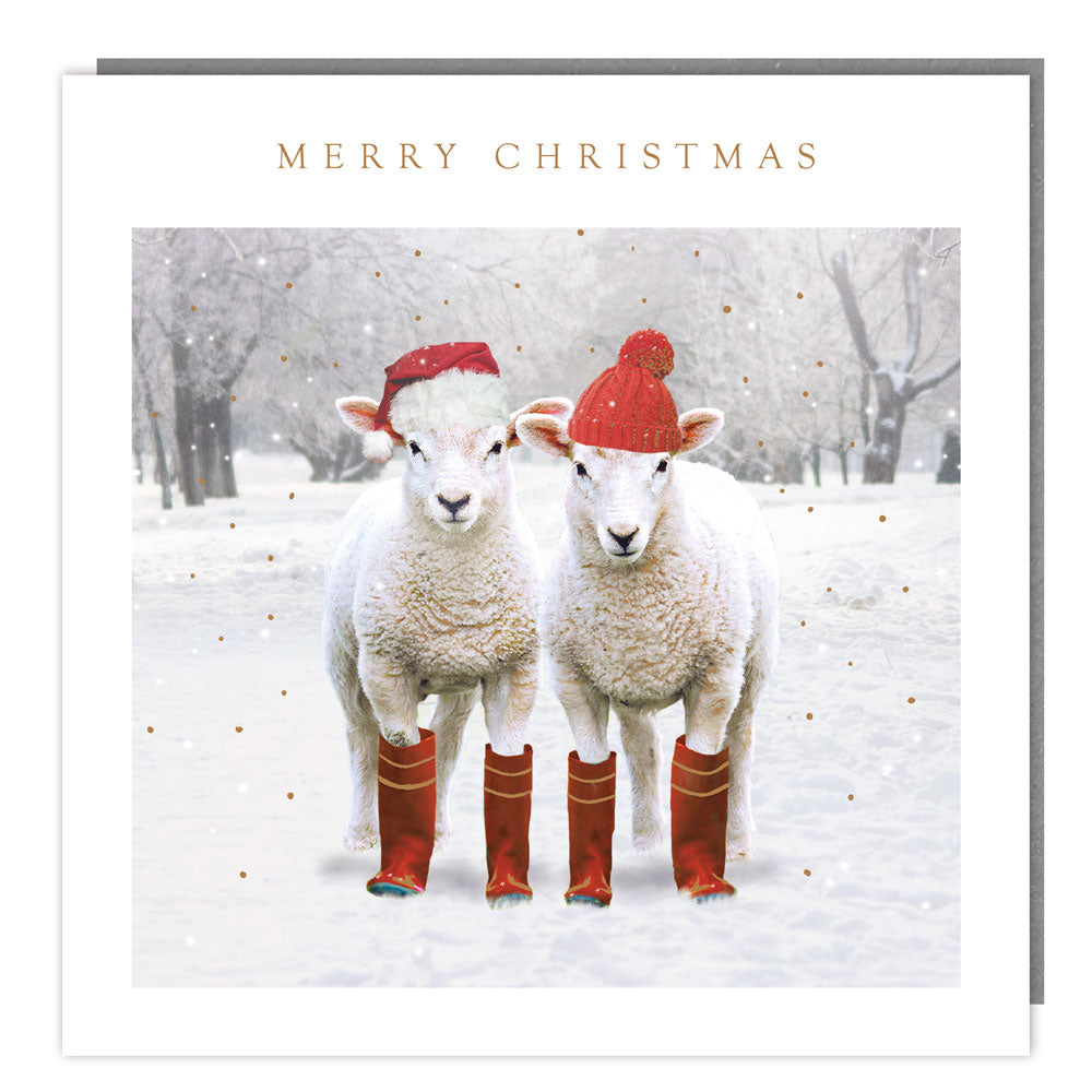 Pack of 5 - Two dressed Sheep - 140x140 - Foil - RT
