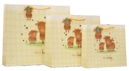 DBV Medium Gift Bag - DAISY & DOUGAL