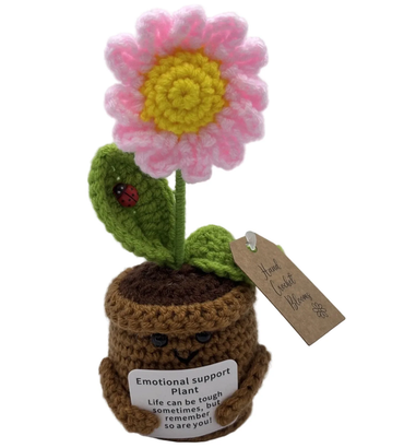 Crochet Smiley Pot Daisy