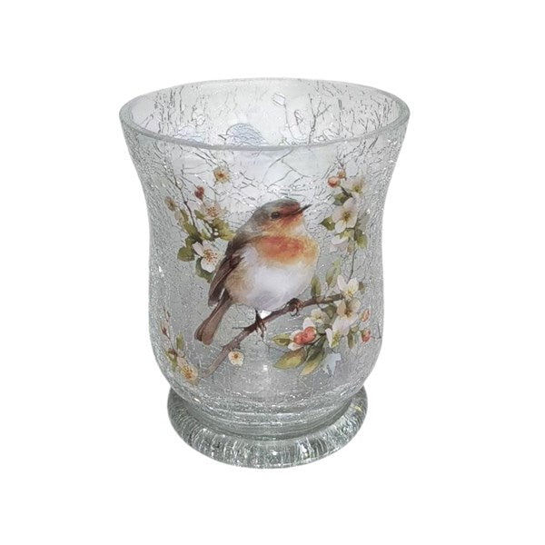Robin Hurricane 11cm