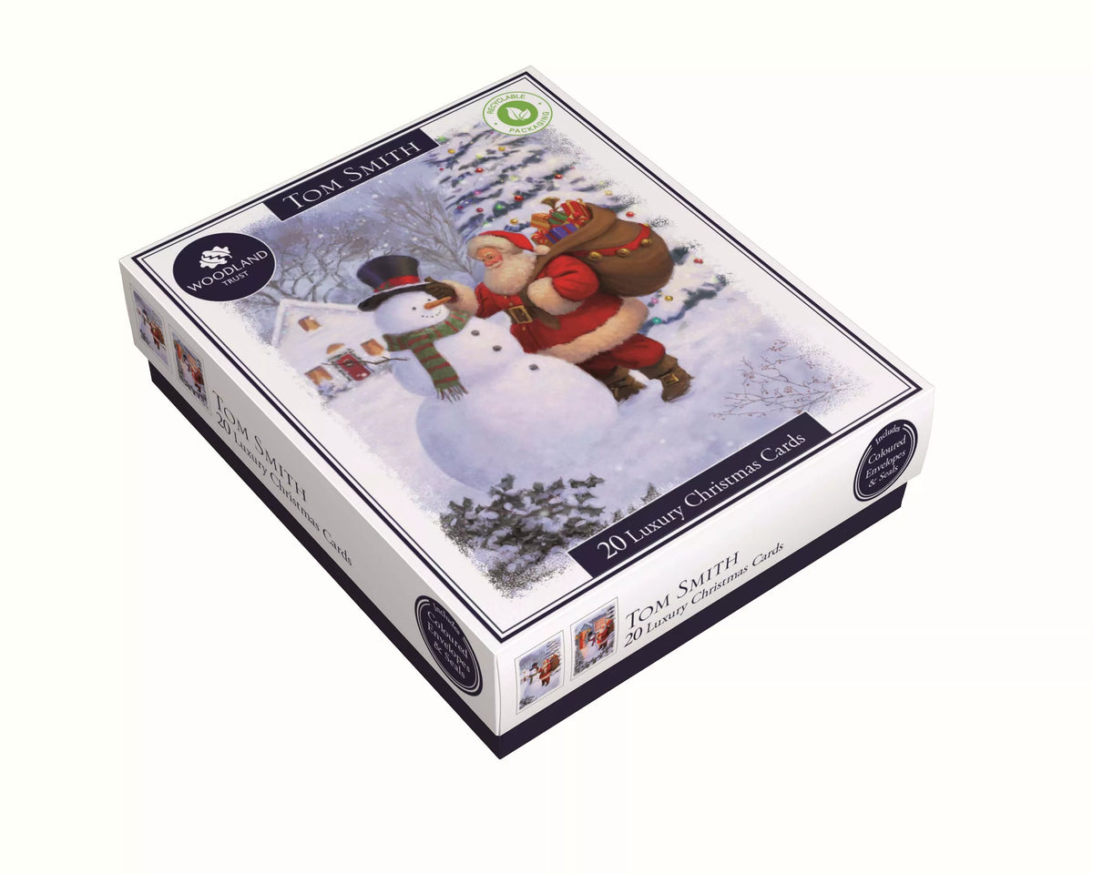 TOM SMITH 20in BOXED CHRISTMAS CARDS - SANTA