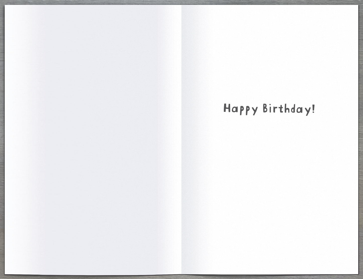 Standard Greeting Cards Birthday Hum Say Cheese!