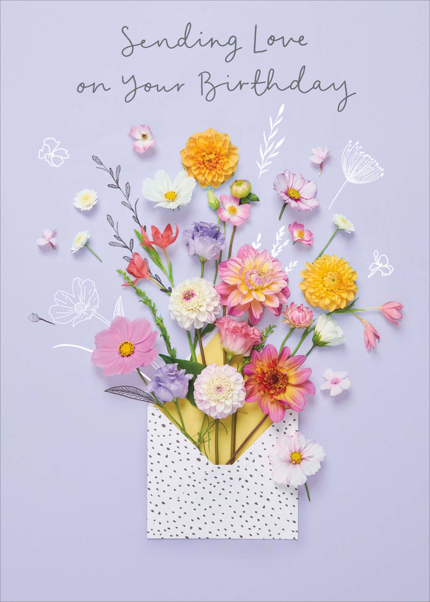Standard Greeting Cards Birthday  Into the Meadow