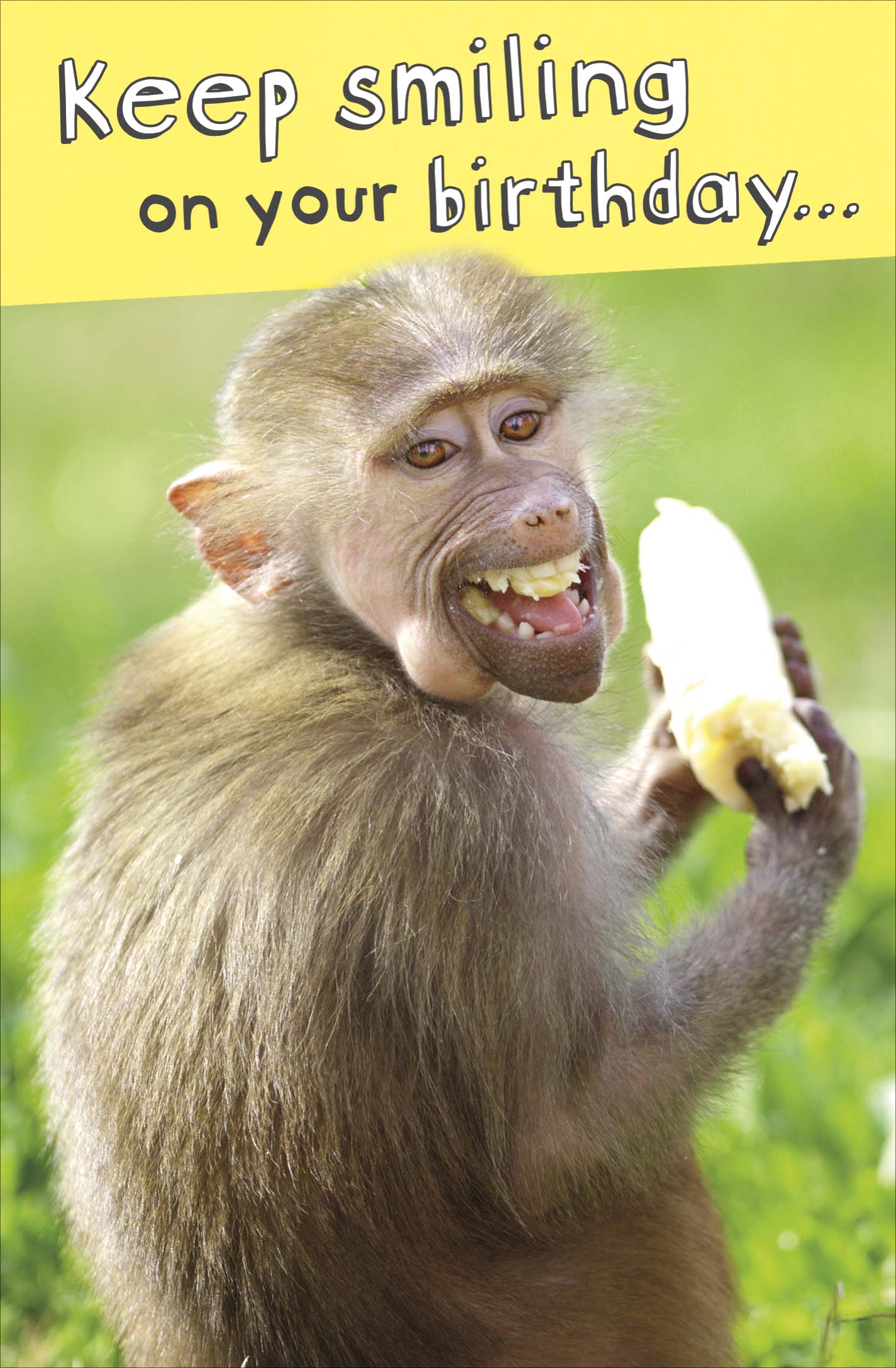 Standard Greeting Cards Birthday Hum Say Cheese!