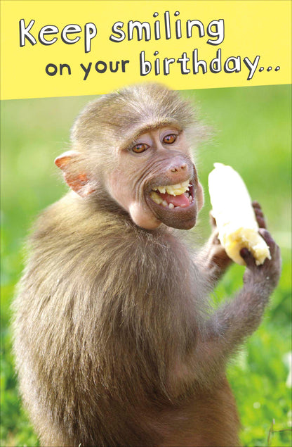 Standard Greeting Cards Birthday Hum Say Cheese!