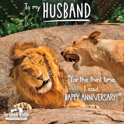 Standard Greeting Cards Anniversary Wedding Husband Hum Comedy Wildlife