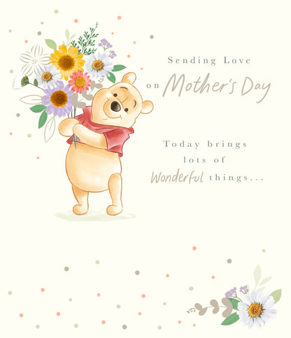 Standard Greeting Cards General Wish  Disney WTP The Smallest Things
